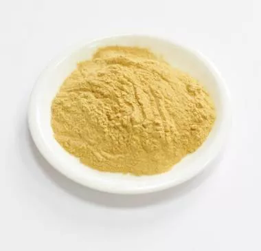 Сухой экстракт розмарина (трава) (лат. Rosmarinus officinalis L.)